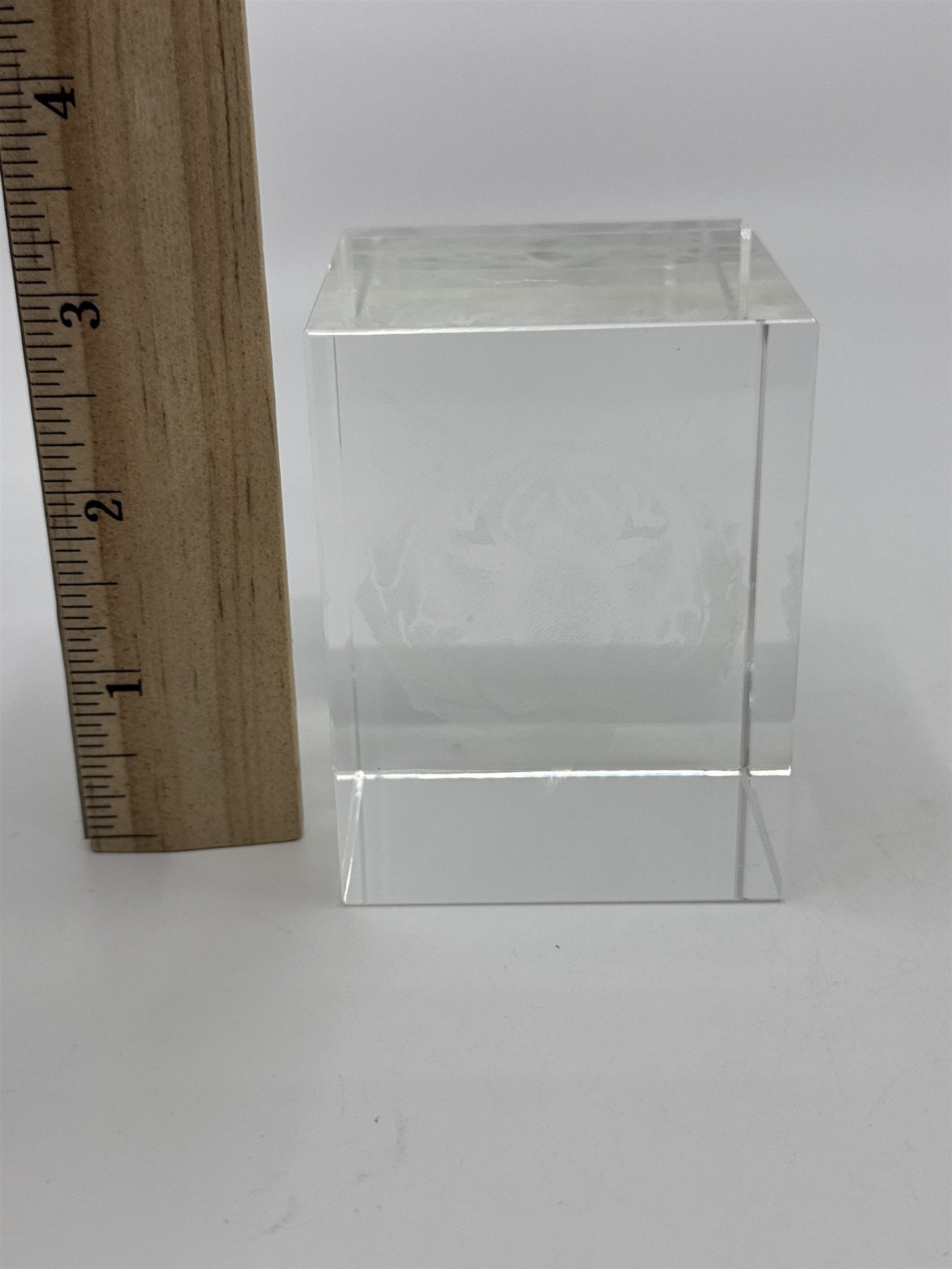 Laser Etched Crystal Glass Tiger 3-D Paperweight W/ Small Scratches