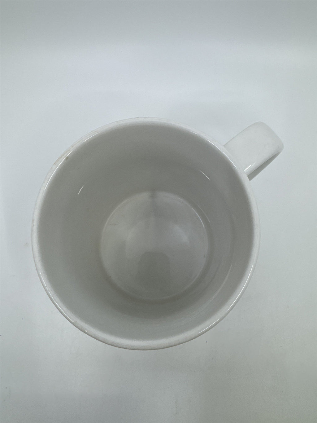 Ceramic White Big Bear Long Lake Large Coffee/Tea/Drink Mug Cup