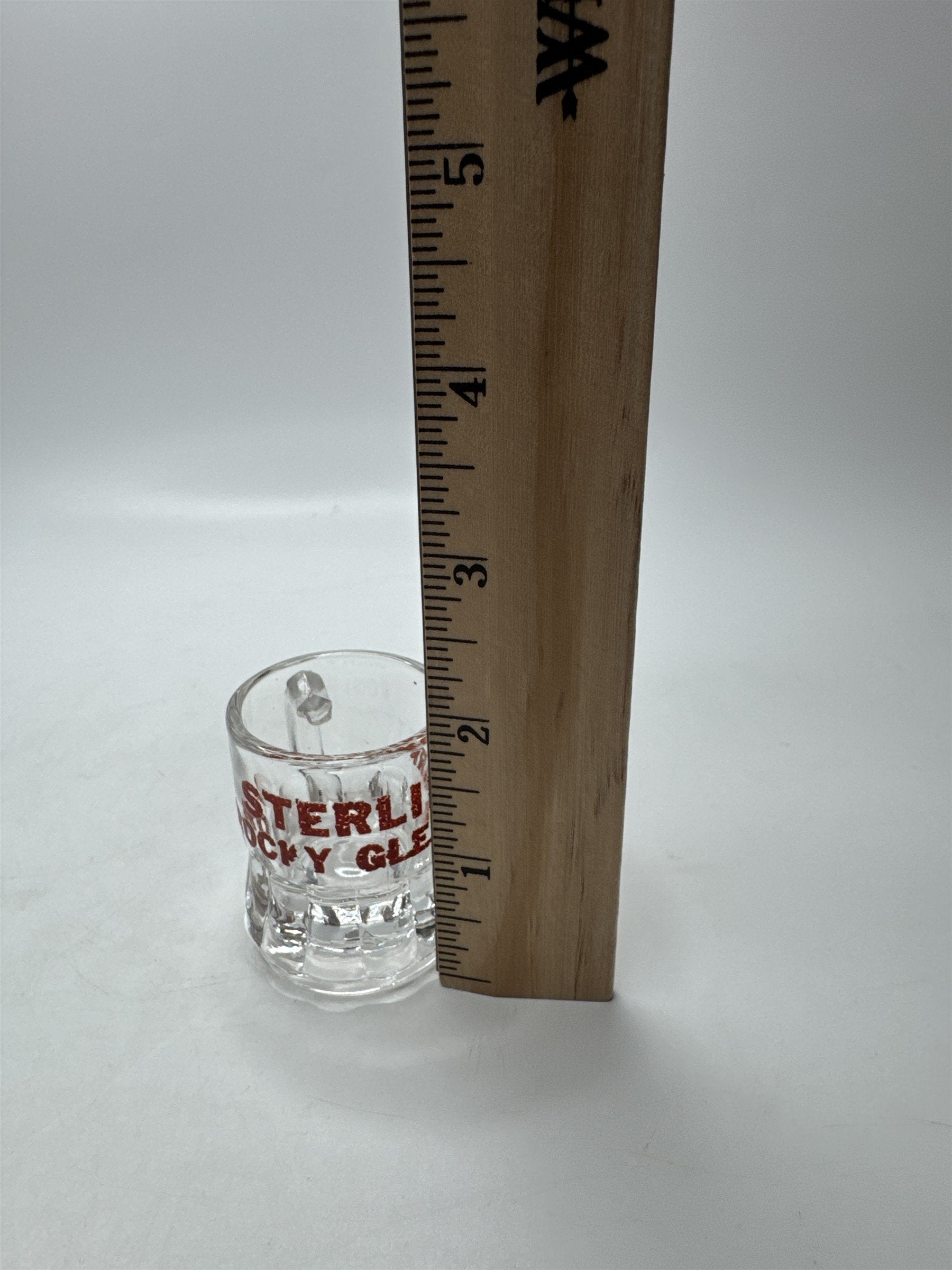 Vintage Sterling's Rocky Glen Park Shot Glass Pennsylvania PA Souvenir Collectib