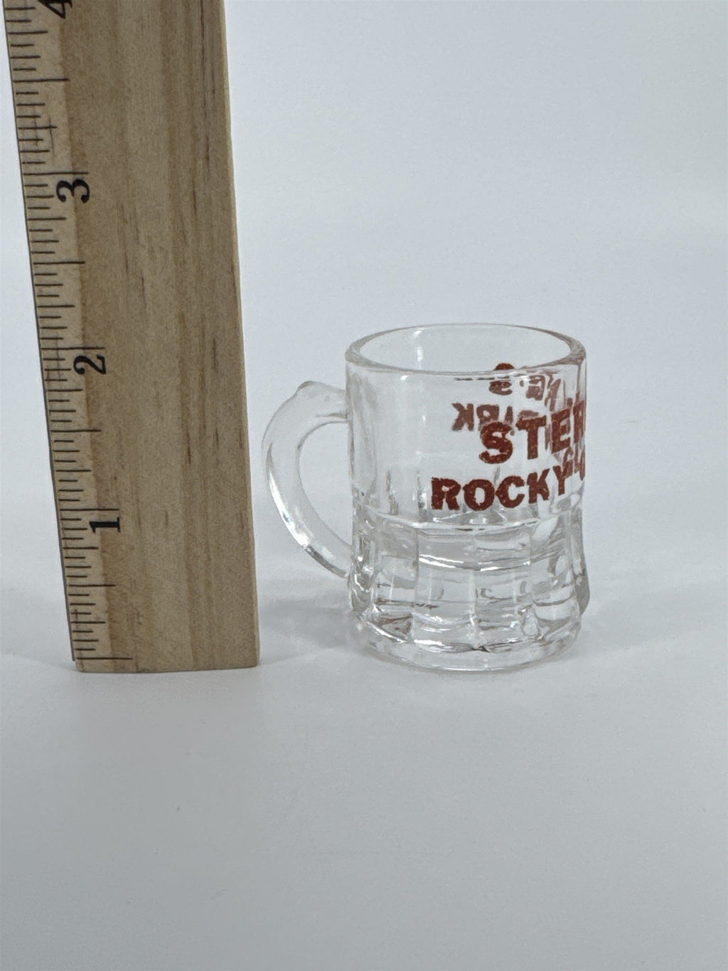 Vintage Sterling's Rocky Glen Park Shot Glass Pennsylvania PA Souvenir