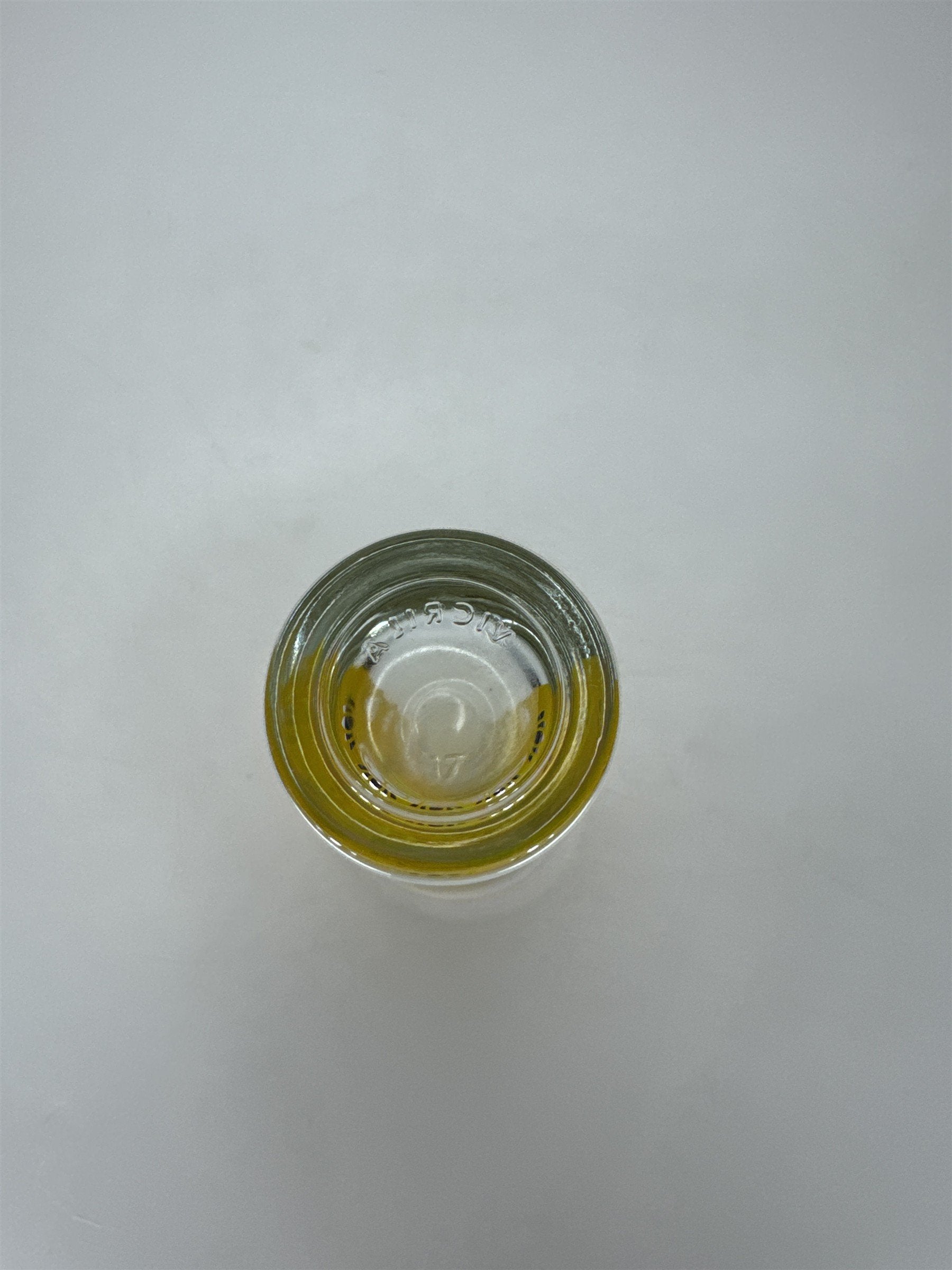 Cozumel Yellow Sugar Skull Shot Glass Day of the Dead Dia de los Muertos