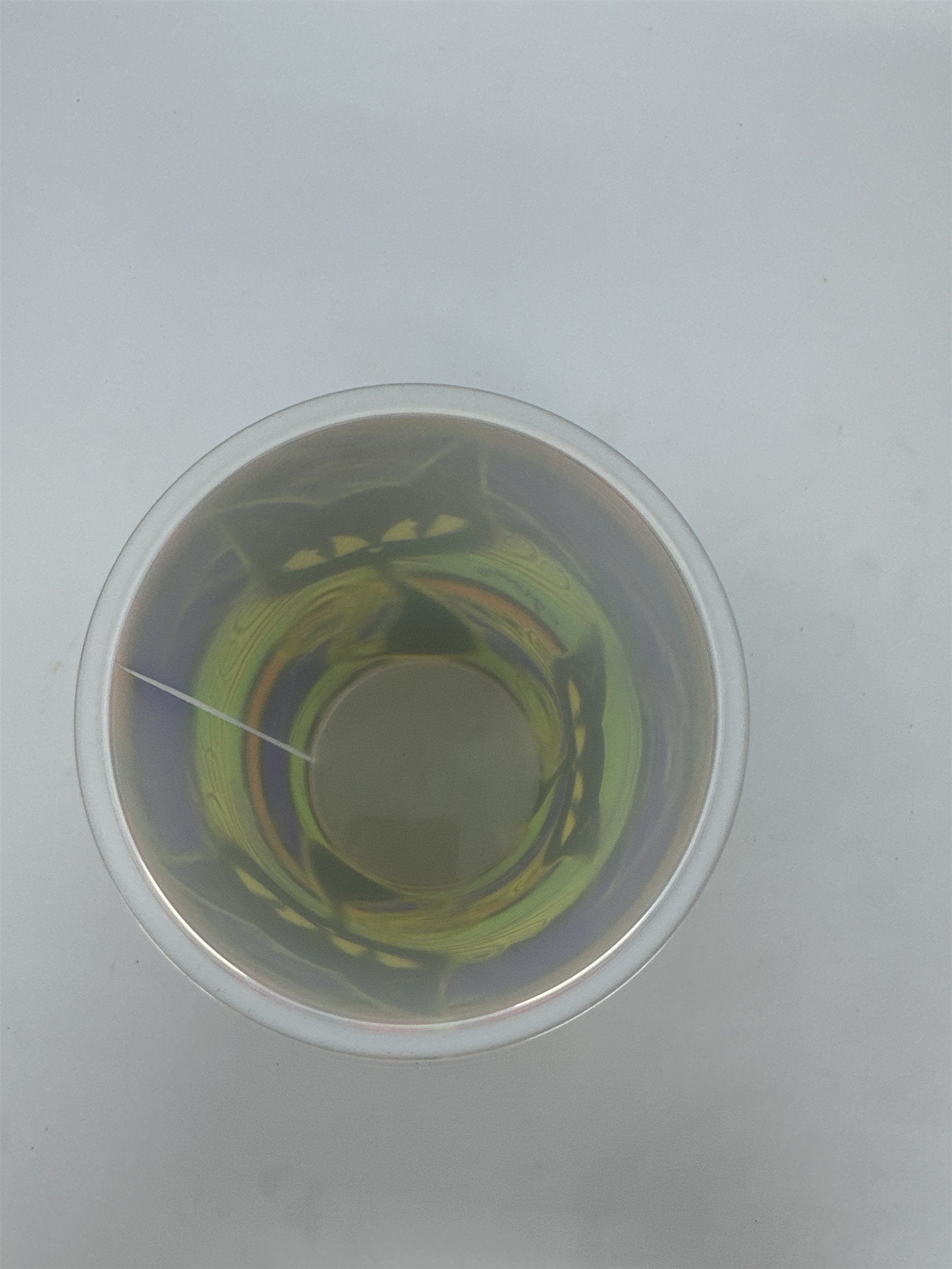 C. Grove Halloween Black Cat Holographic Plastic Cup 3D 16oz Party Decor 5"