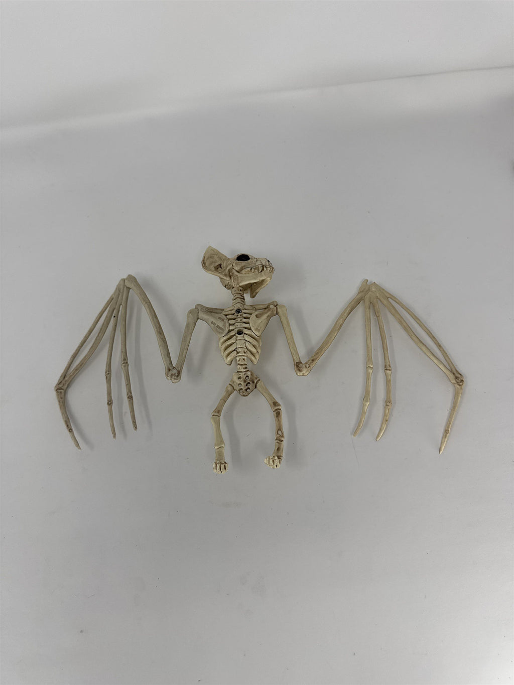 Halloween Bat Skeleton Prop Posed Bird Bone Figurine Haunted House Decor