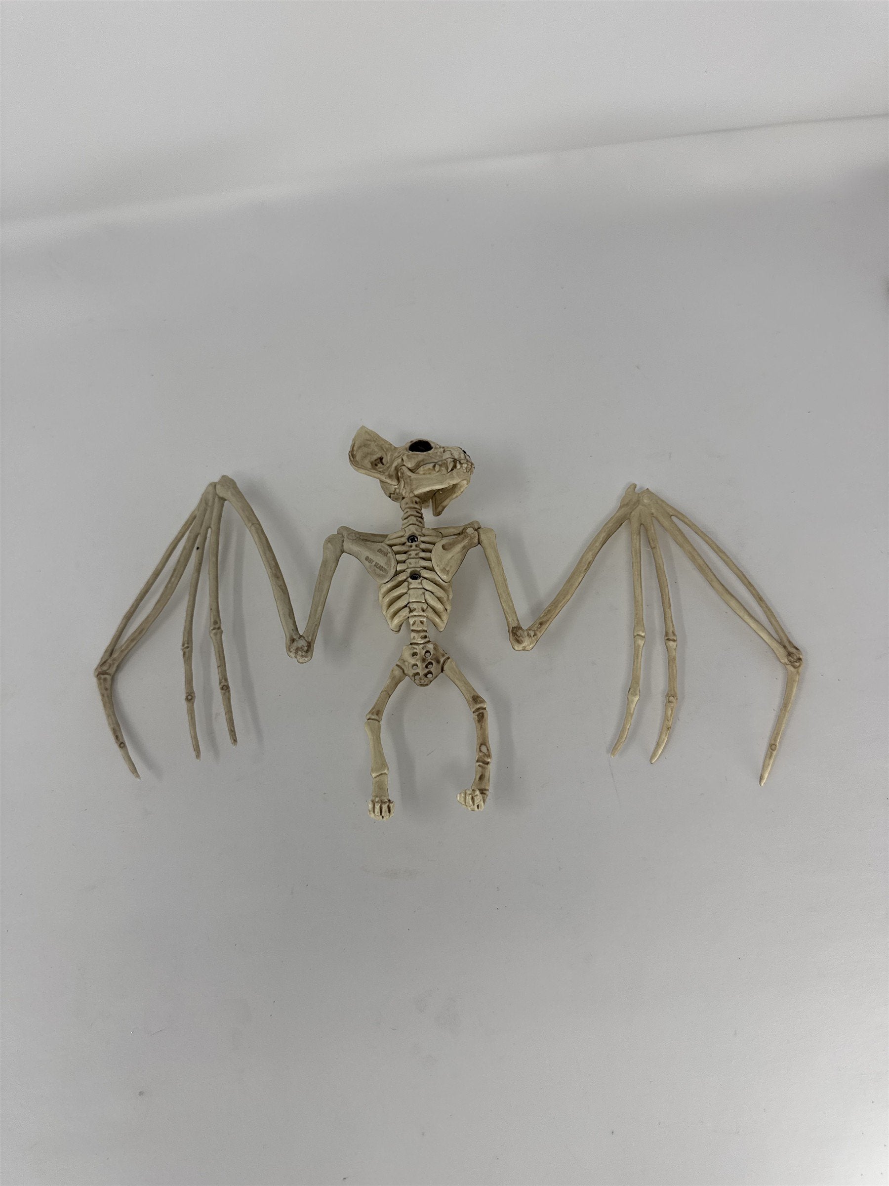 Halloween Bat Skeleton Prop Posed Bird Bone Figurine Haunted House Decor