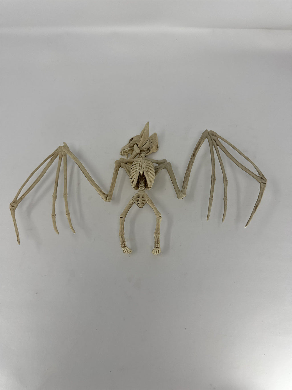 Halloween Bat Skeleton Prop Posed Bird Bone Figurine Haunted House Decor