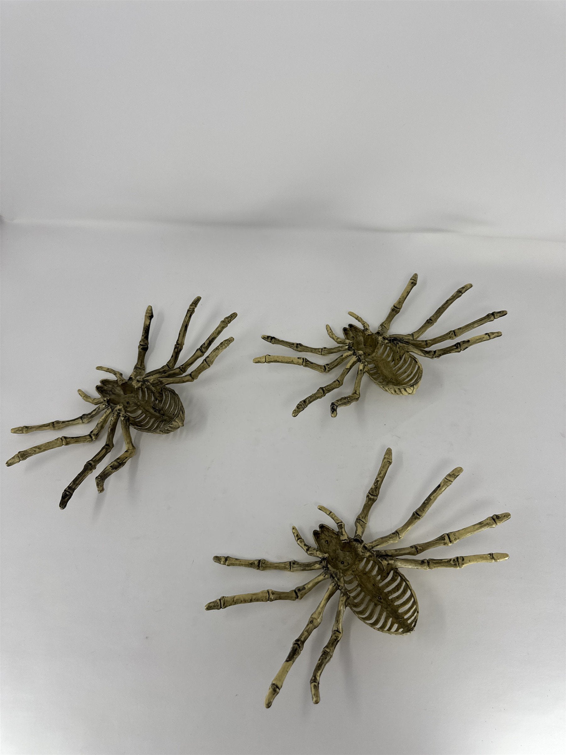 Halloween Spider Skeleton Props Lot of 3 Creepy Crawler Haunted House Decor