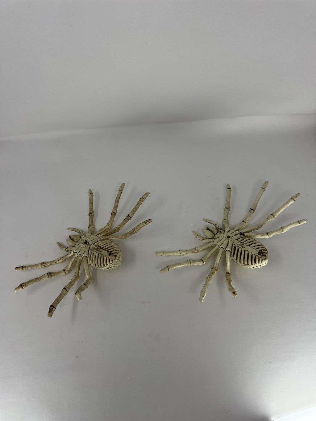 Halloween Spider Skeleton Props Set of 2 Creepy Crawler Haunted House Decor