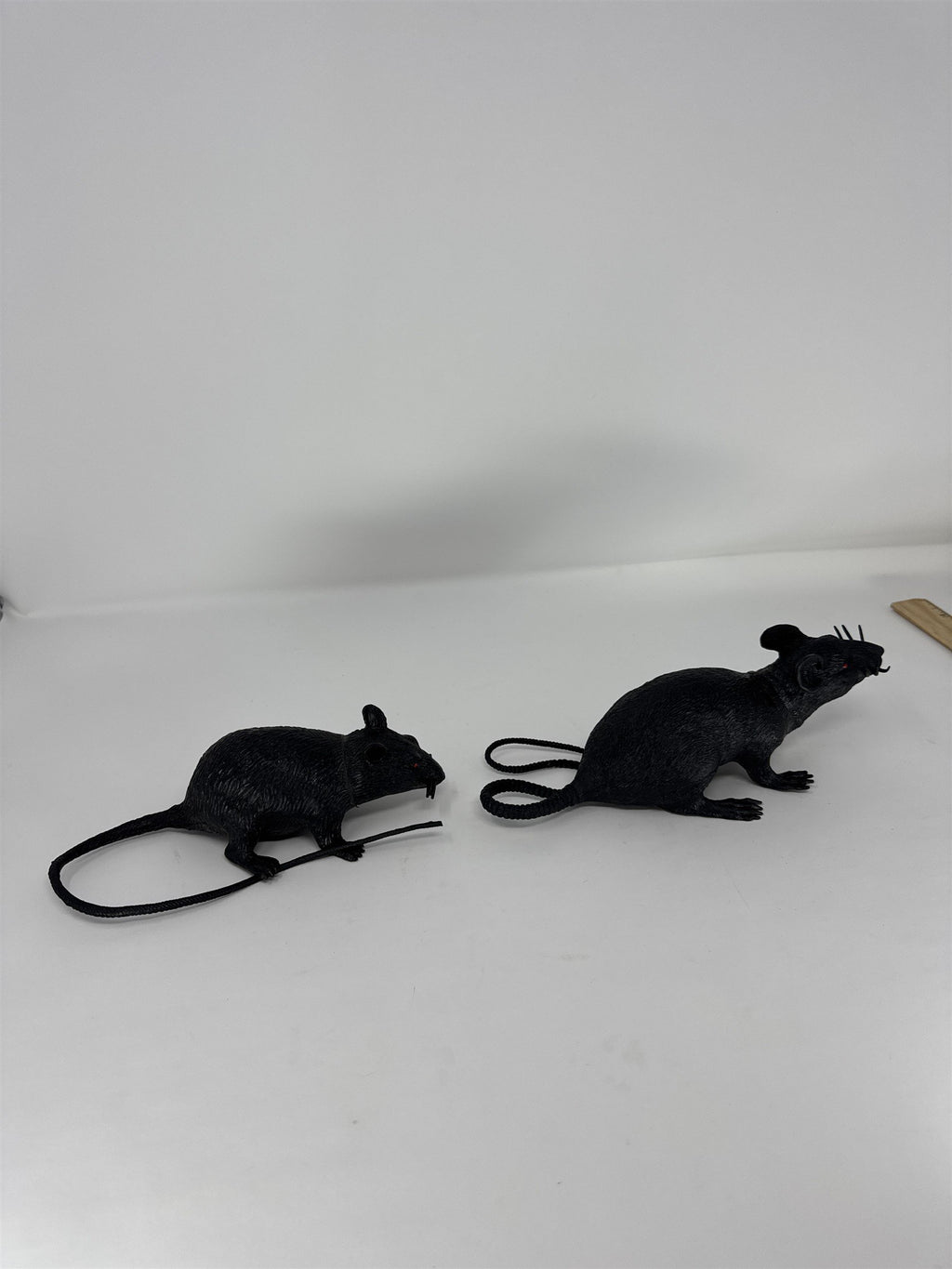Halloween Realistic Black Rat Prop Set of 2 Plastic Rodent Haunted House Decor
