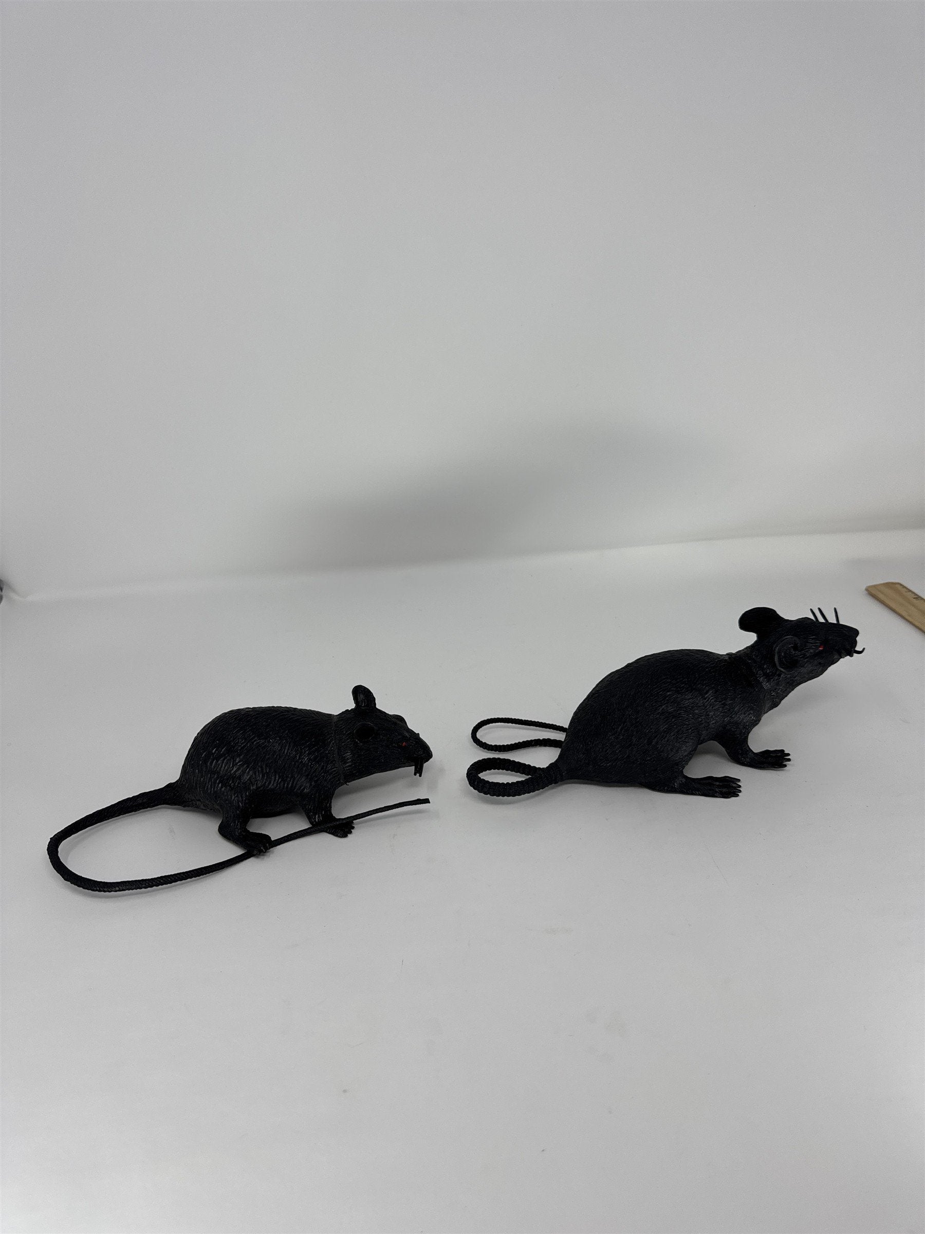 Halloween Realistic Black Rat Prop Set of 2 Plastic Rodent Haunted House Decor