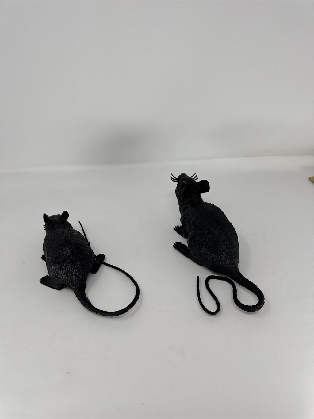 Halloween Realistic Black Rat Prop Set of 2 Plastic Rodent Haunted House Decor
