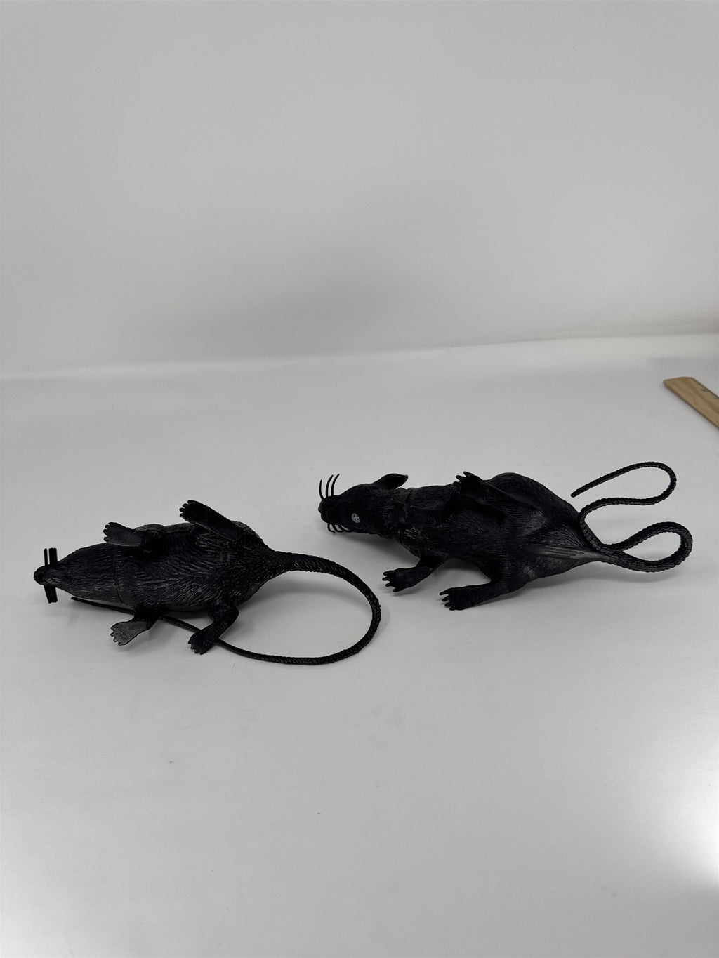 Halloween Realistic Black Rat Prop Set of 2 Plastic Rodent Haunted House Decor
