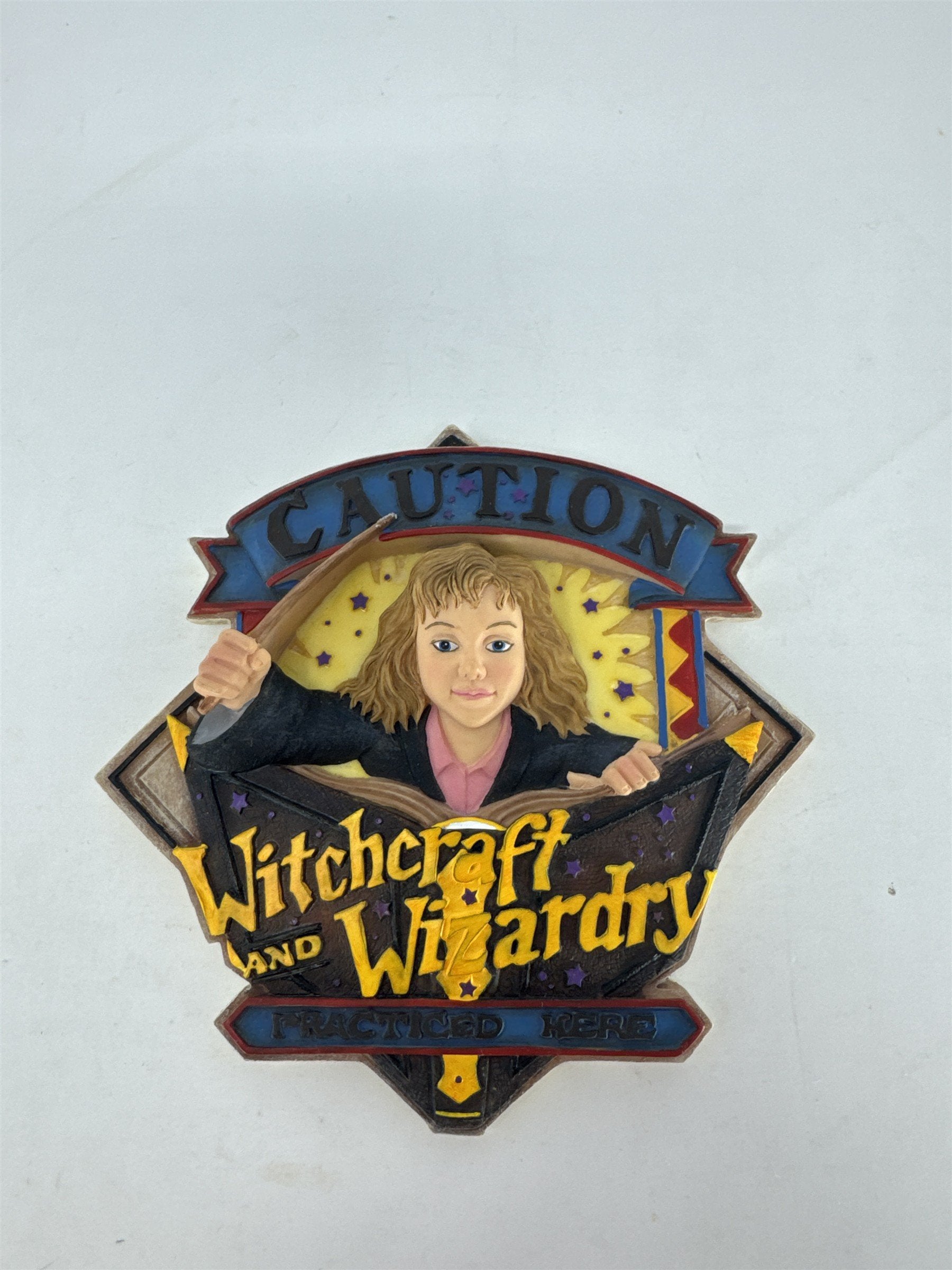 Vintage 2000 Enesco Harry Potter Hermione Granger Wall Plaque 3D Sculpted
