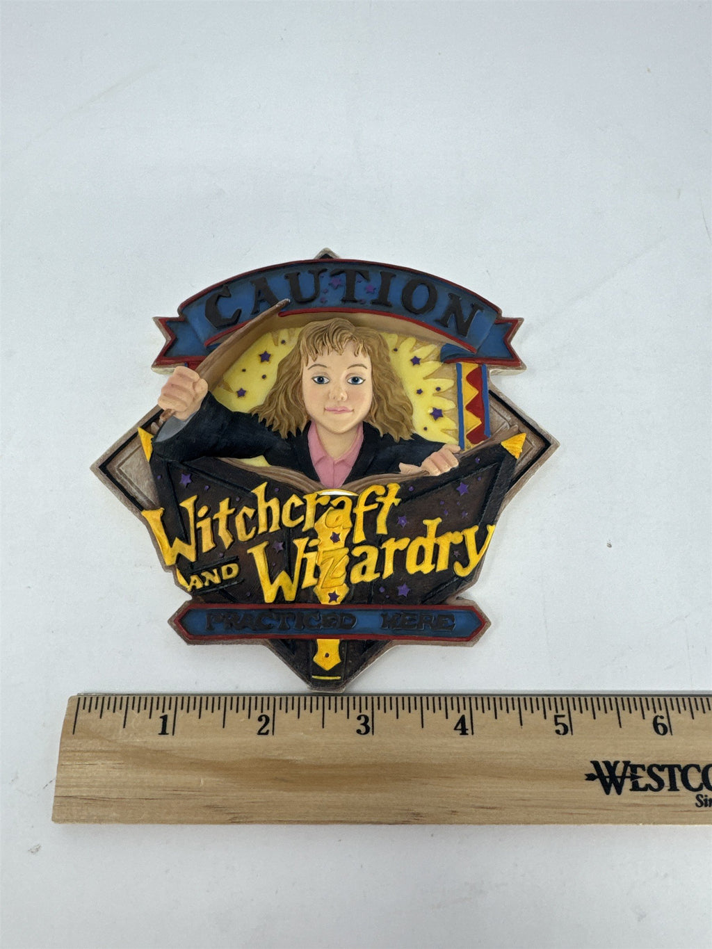 Vintage 2000 Enesco Harry Potter Hermione Granger Wall Plaque 3D Sculpted