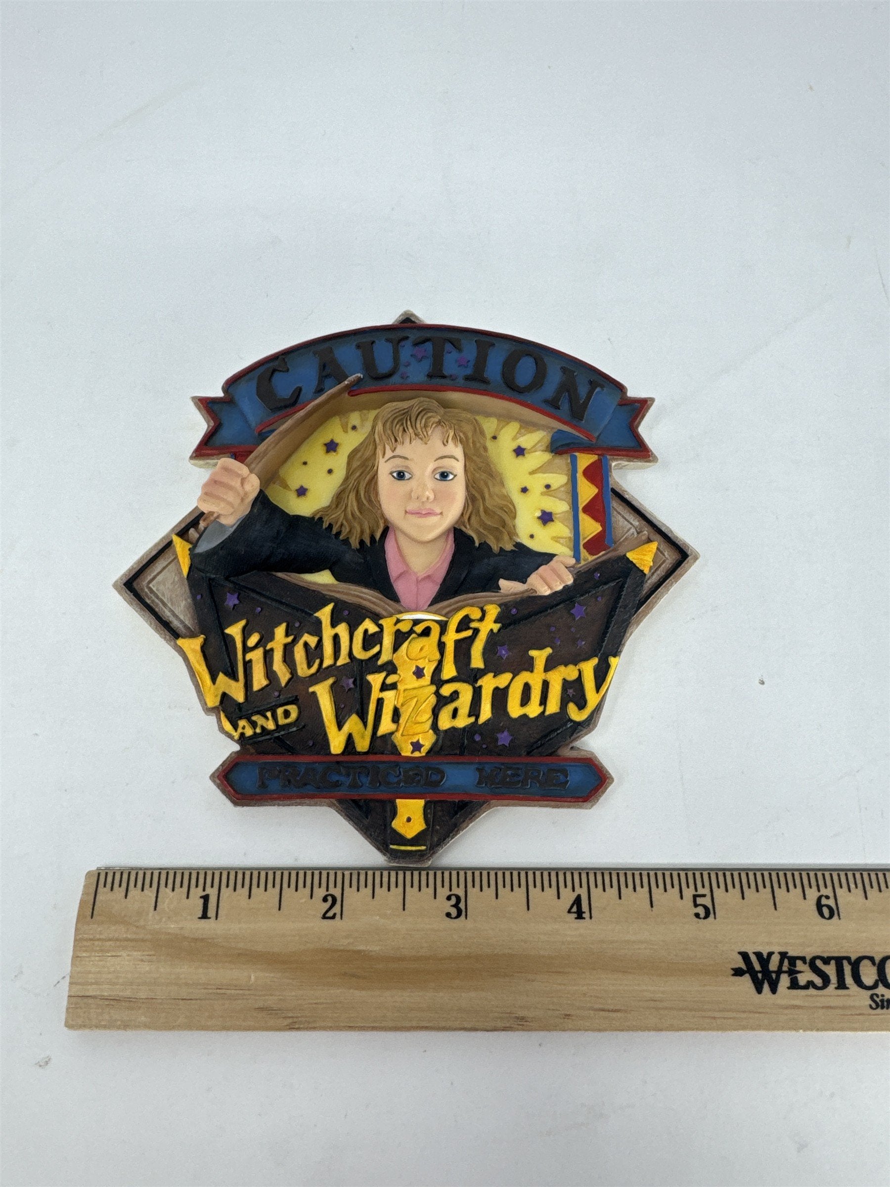 Vintage 2000 Enesco Harry Potter Hermione Granger Wall Plaque 3D Sculpted