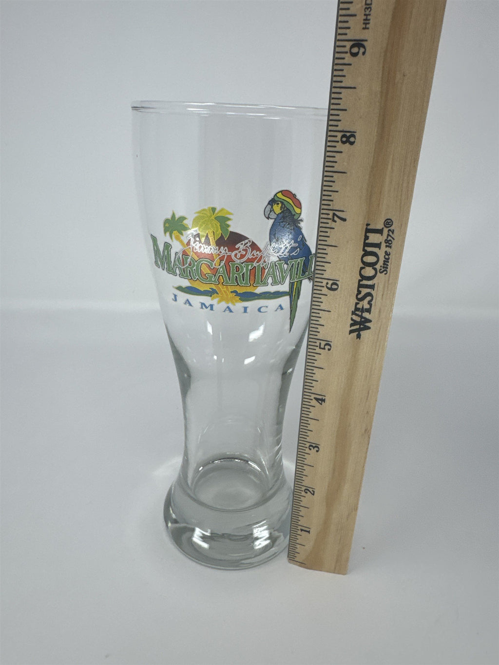 Jimmy Buffett Margaritaville Jamaica Pilsner Glass Parrot Beer Mug 9" Tall