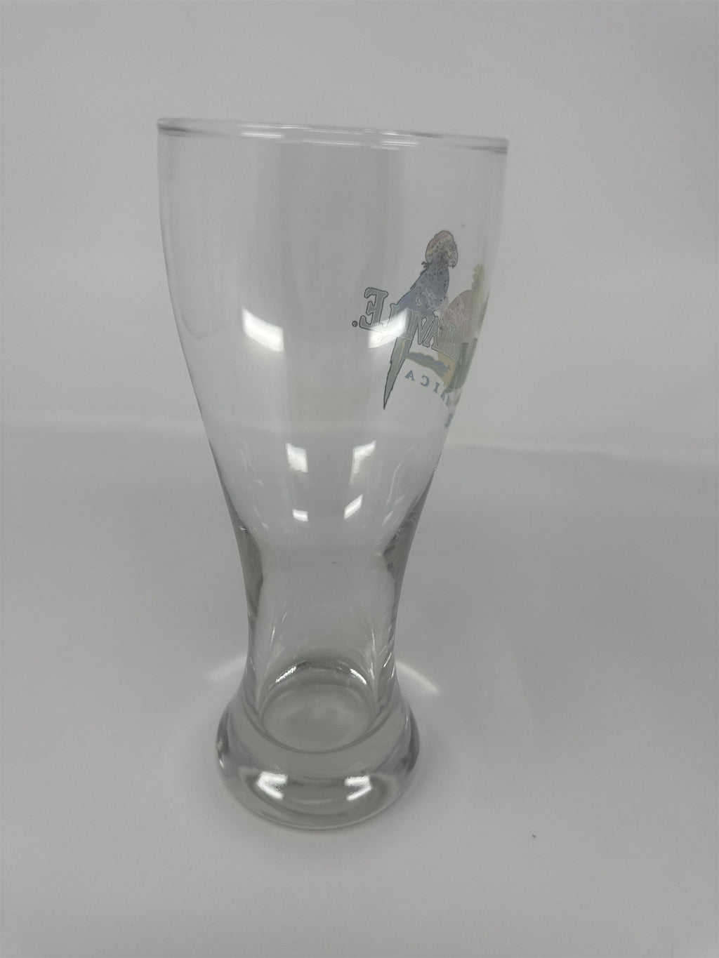 Jimmy Buffett Margaritaville Jamaica Pilsner Glass Parrot Beer Mug 9" Tall