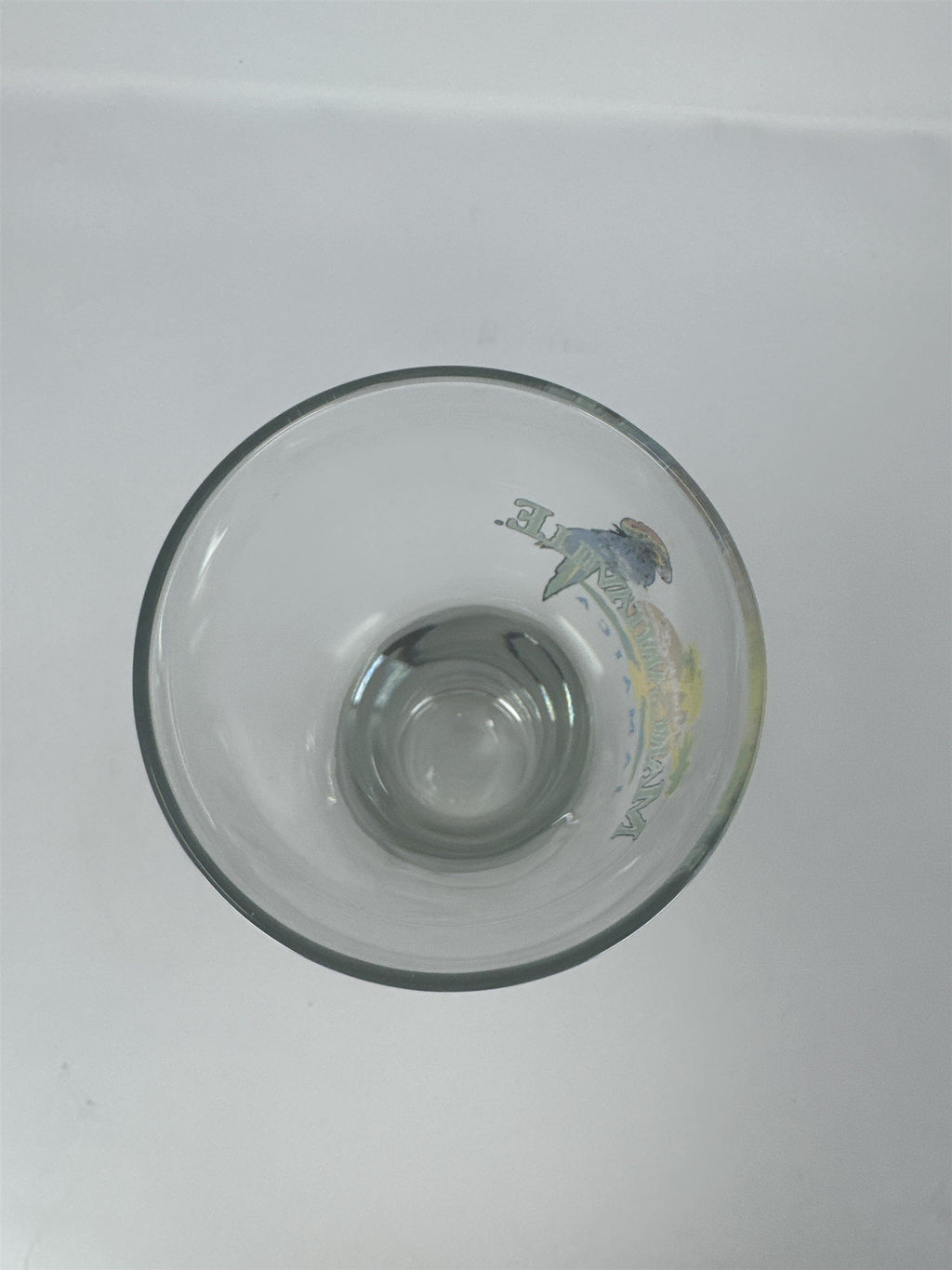 Jimmy Buffett Margaritaville Jamaica Pilsner Glass Parrot Beer Mug 9" Tall