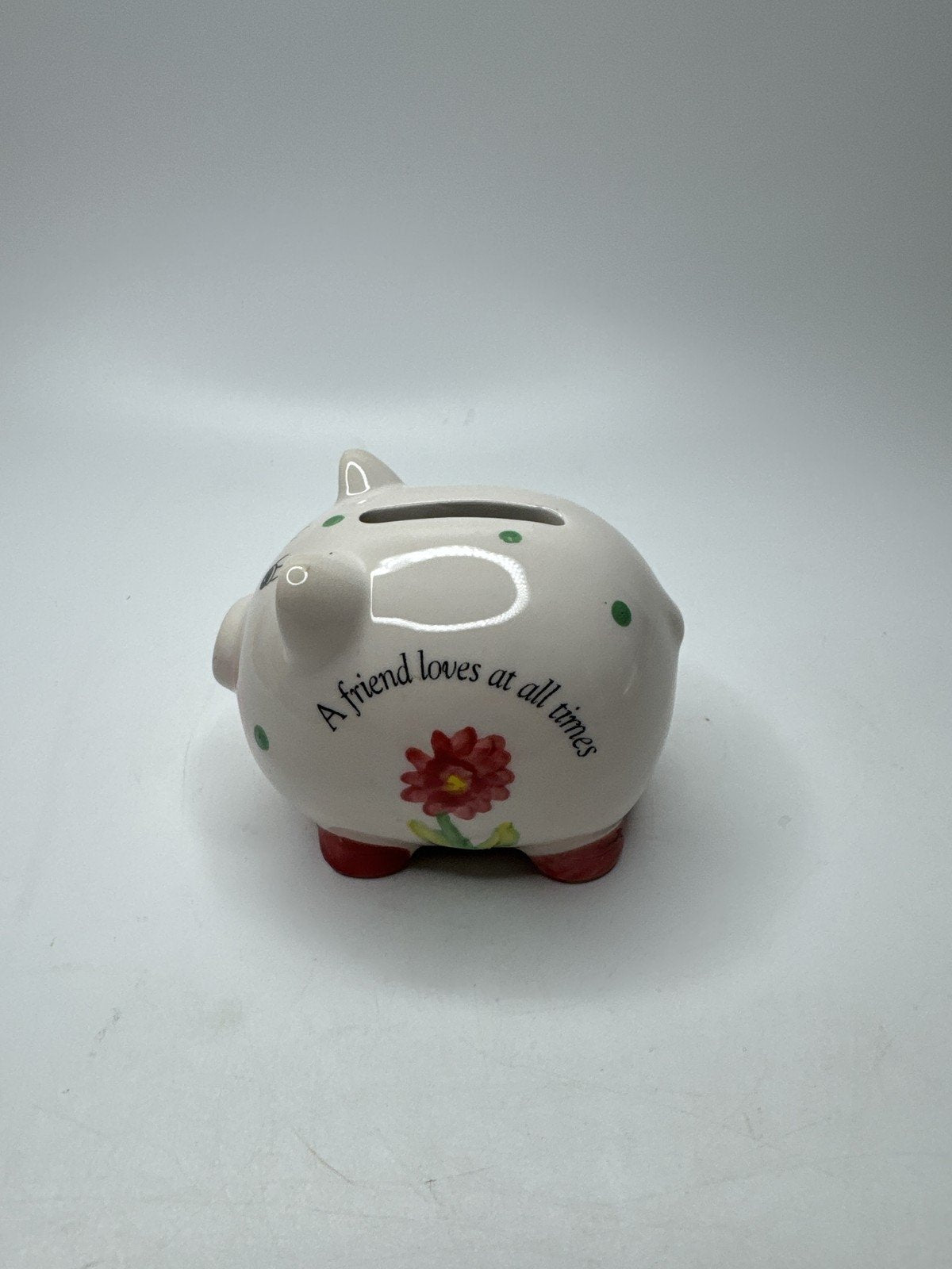 Ceramic Piggy Bank Floral Polka Dot Coin Bank Gift "A Friend Loves at All Tim