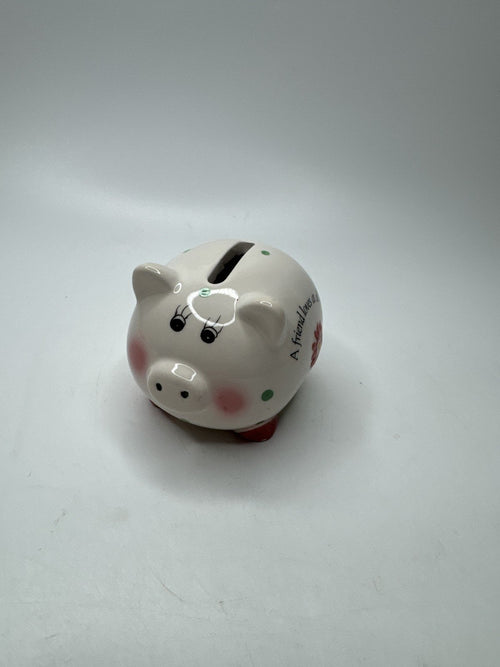 Ceramic Piggy Bank Floral Polka Dot Coin Bank Gift "A Friend Loves at All Tim