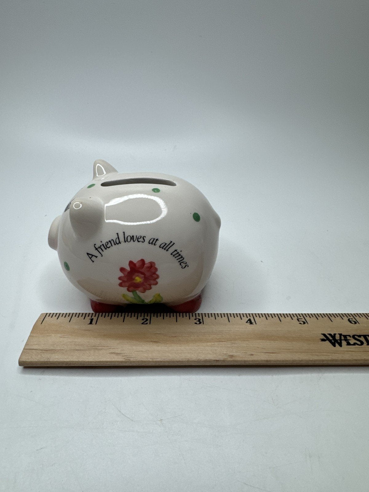 Ceramic Piggy Bank Floral Polka Dot Coin Bank Gift "A Friend Loves at All Tim